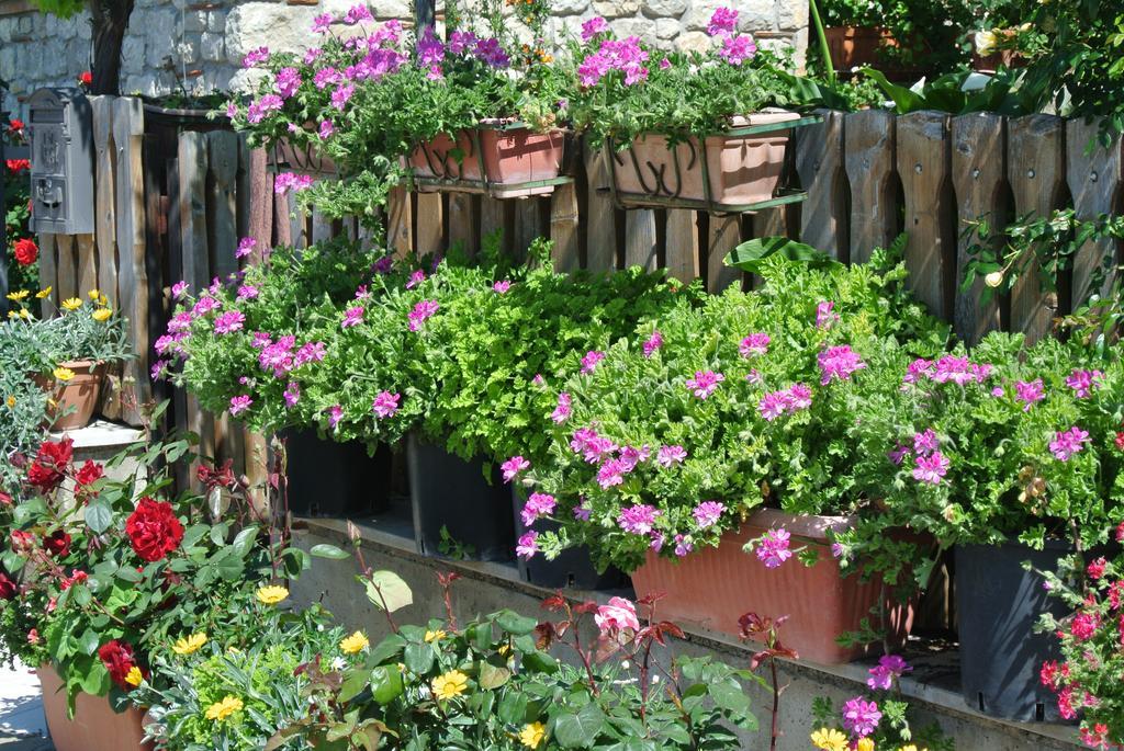 B&B Casa Antonia Trentinara Ngoại thất bức ảnh
